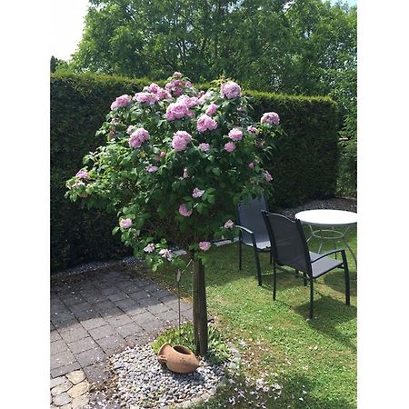Ferienwohnung Kronengarten 미르스부르크 외부 사진